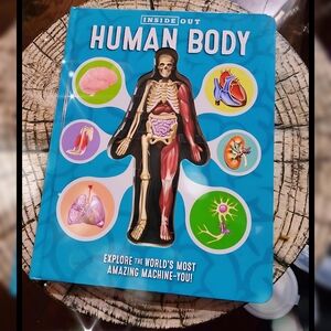 🩻 INCREDIBLE Inside Out Interactive Human Body Board Book 🩻